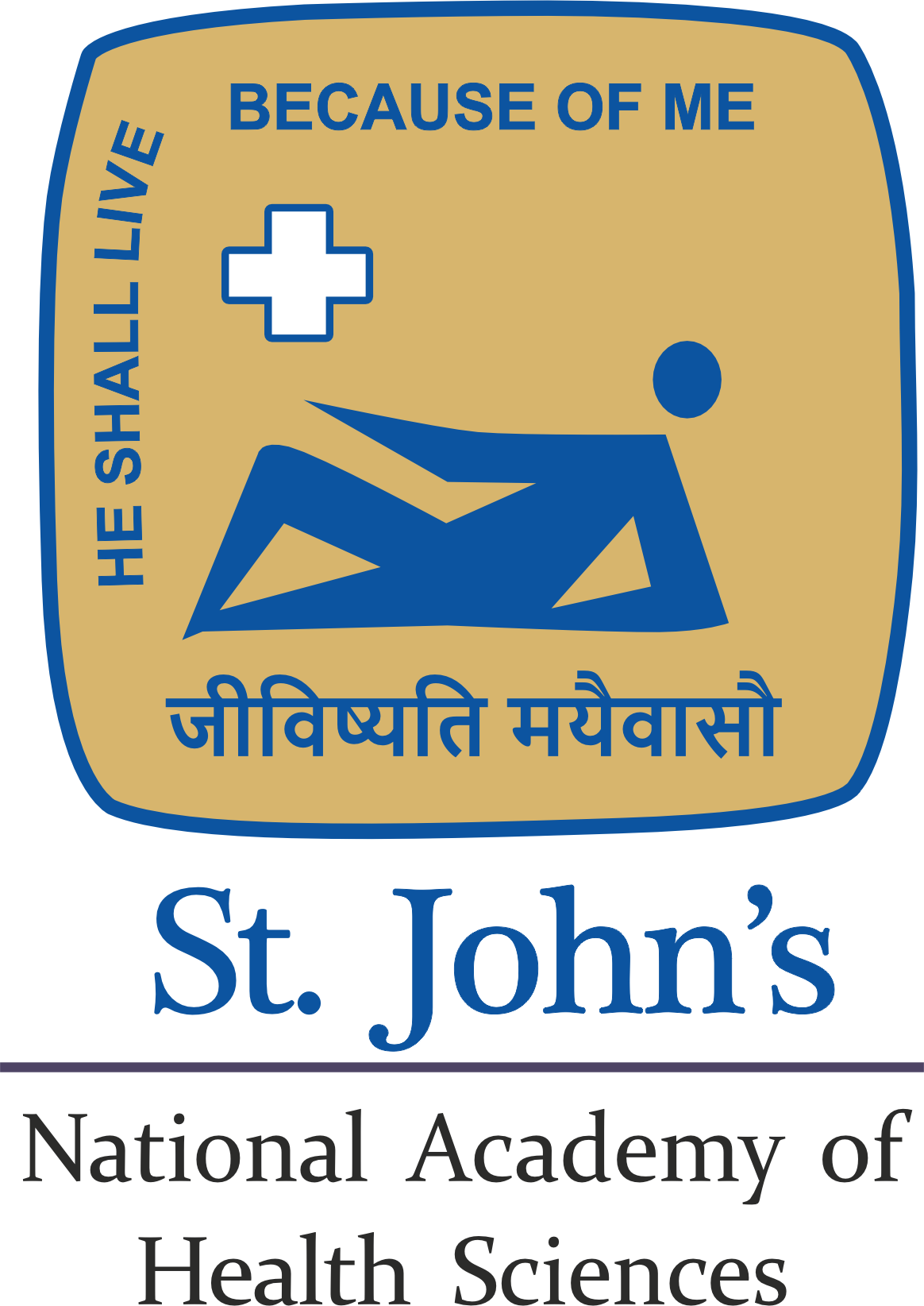 St. John's Online Home Page